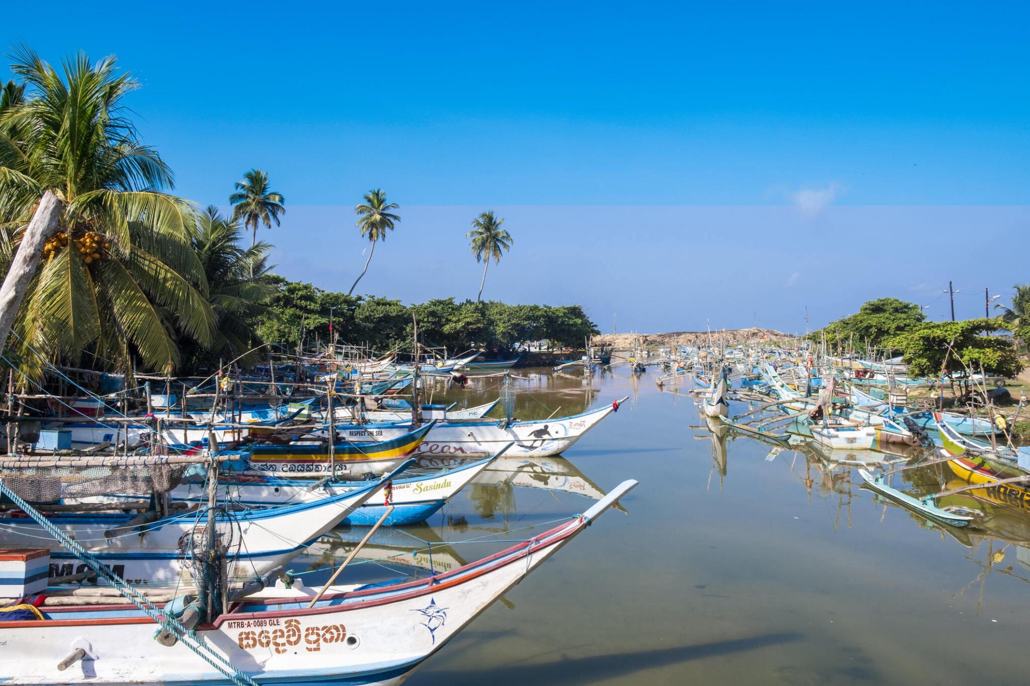 Negombo Lagoon Fishing